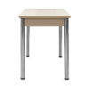 Стол Айсберг-мини PL 960(1260)*600, ЛДСП Дуб мол., пластик Бежевые цветы/нога ПРЯМ хром 4